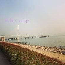 μ